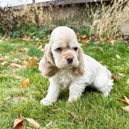 Molly photo 1