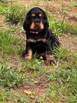 Benny photo 2