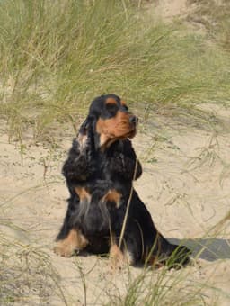 Marley photo 6