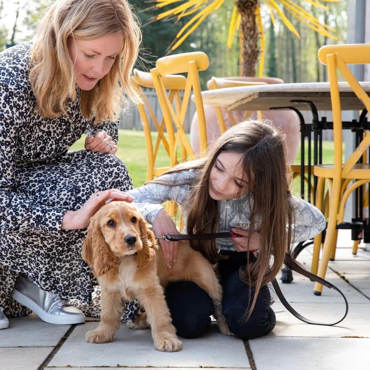 Family meeting their new Cocker Spaniel puppy